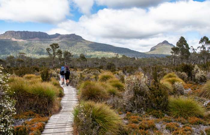 Hiking Tasmania Overland Track